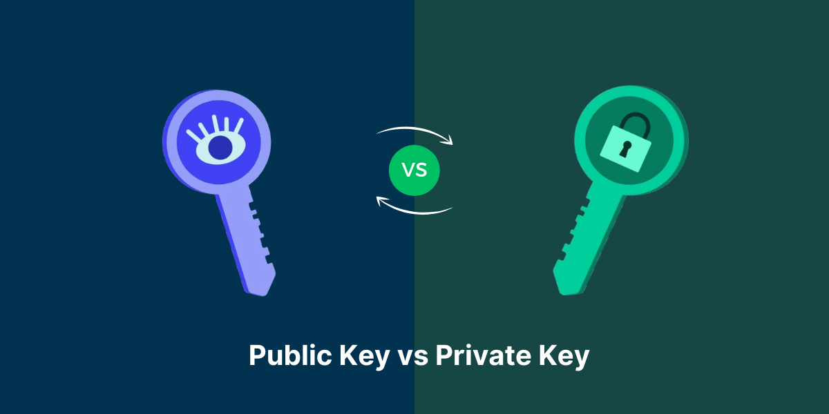 Public Key vs Private Key