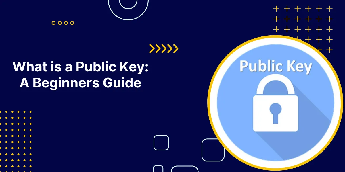 What is a Public Key