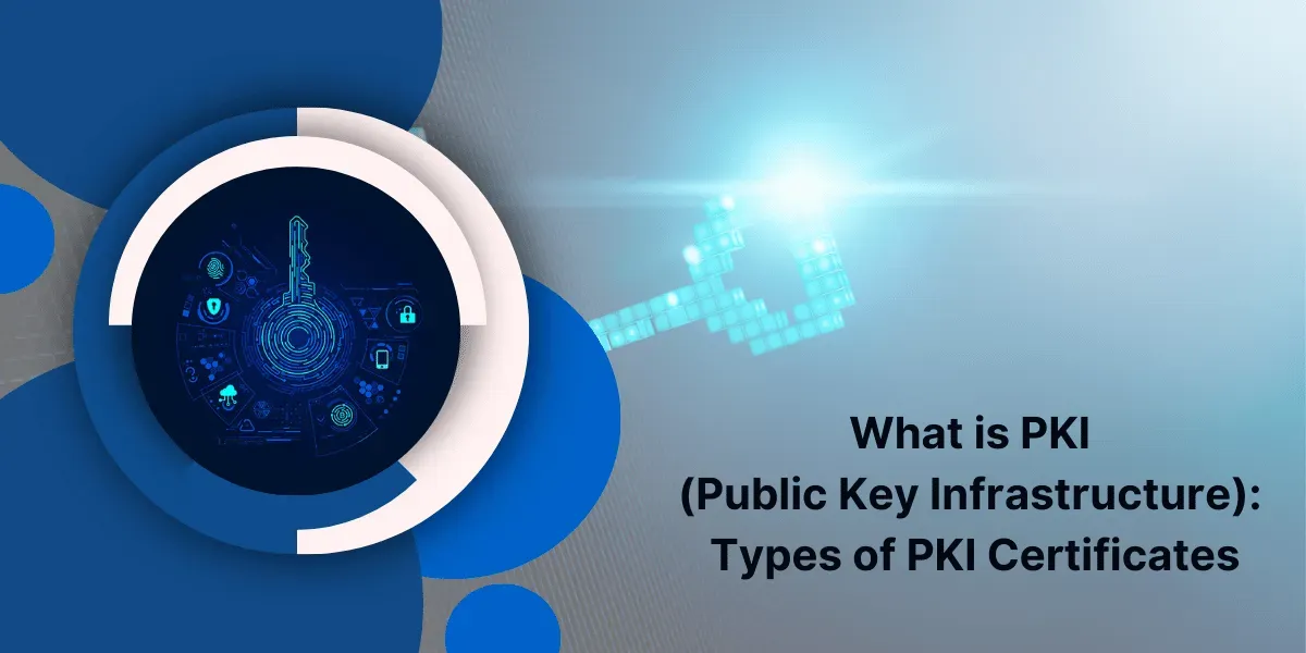 What is Public Key Infrastructure