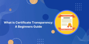 What is Certificate Transparency