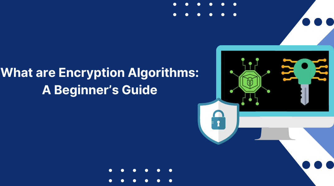 What are Encryption Algorithms: A Beginner’s Guide