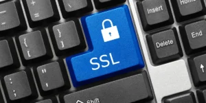 Do I Need SSL Certificate