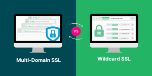 Multi-Domain SSL vs Wildcard SSL