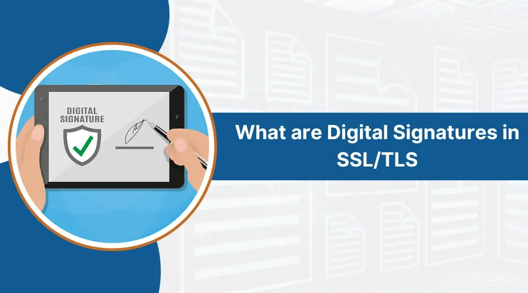 What are Digital Signatures in SSL/TLS?