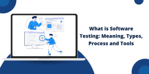 Software Testing