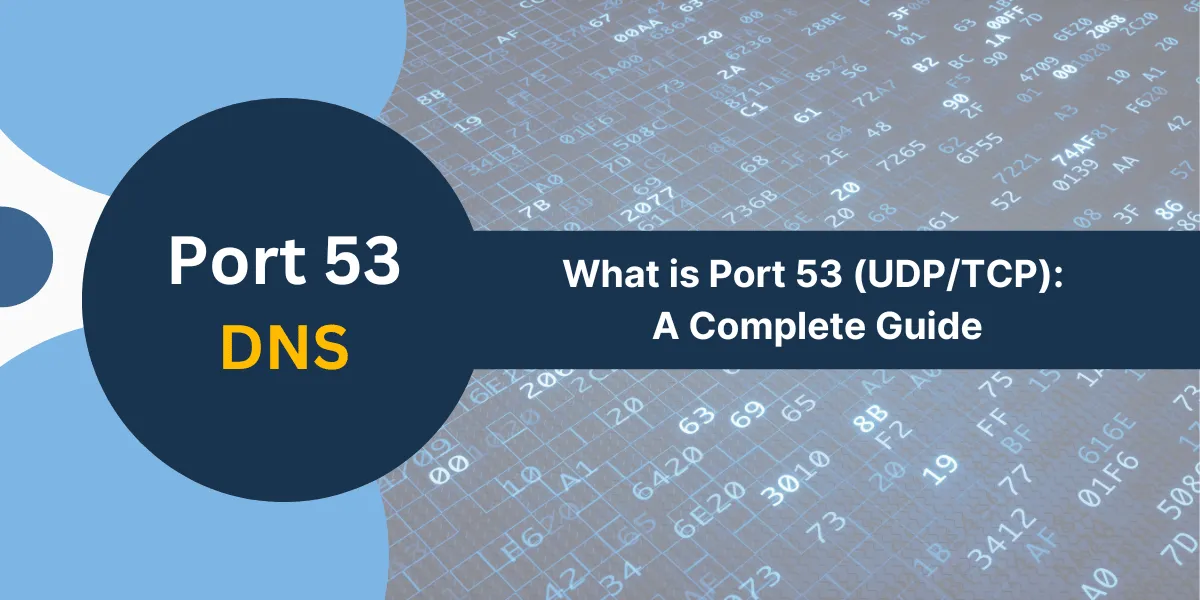 Port 53 (UDP/TCP)