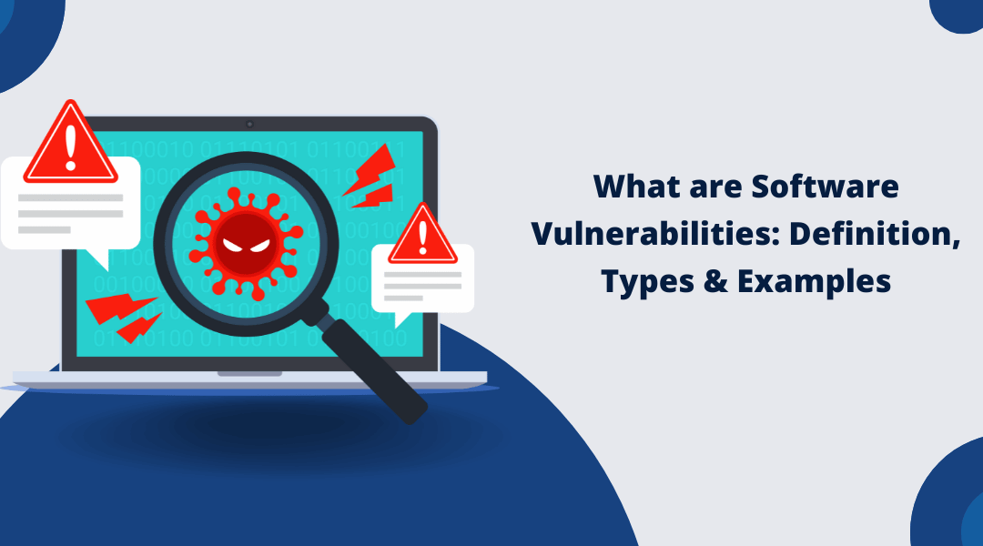 What are Software Vulnerabilities: Everything You Need to Know About It