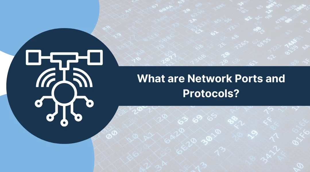 What are Network Ports and Protocols?