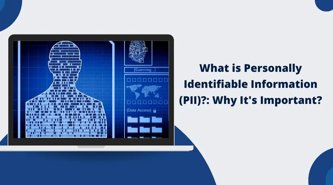 PII Security Best Practices: Why It’s Important?