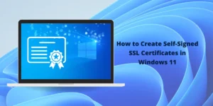 Create Self-Signed SSL Certificates in Windows 11