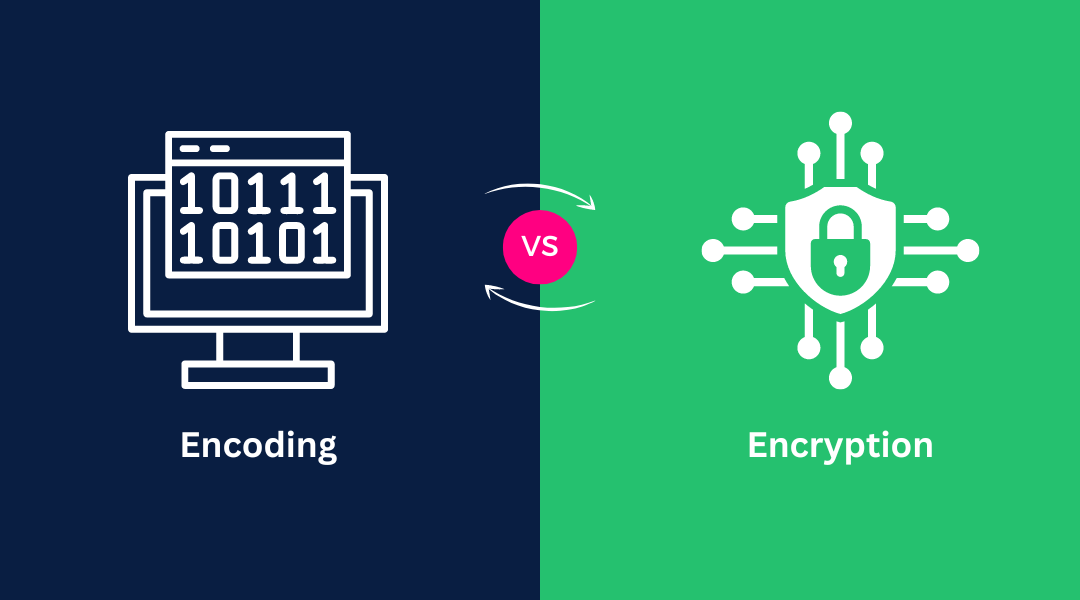 Encoding vs Encryption: What’s the Difference Between Them?