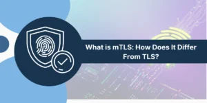 Mutual Transport Layer Security (mTLS)