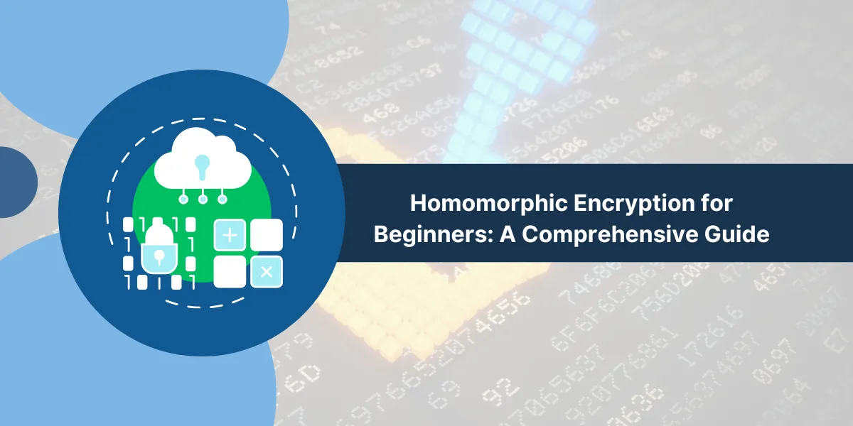 Homomorphic Encryption for Beginners