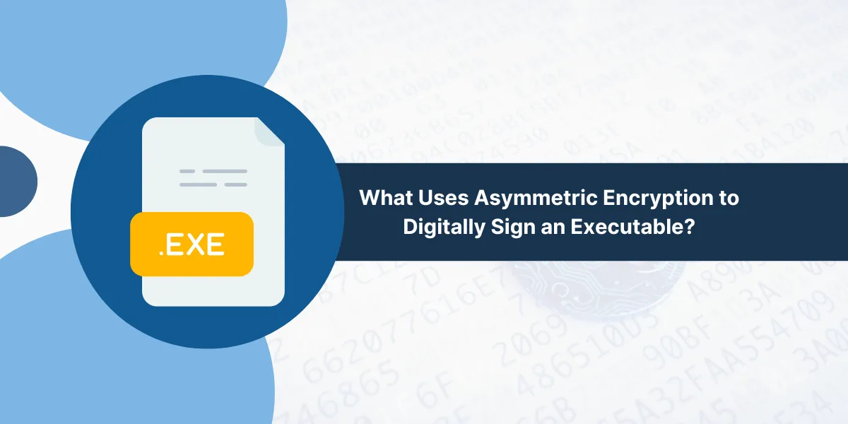 Asymmetric Encryption to Digitally Sign an Executable