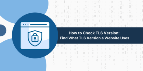 How to Check TLS Version: Find What TLS Version a Website Uses