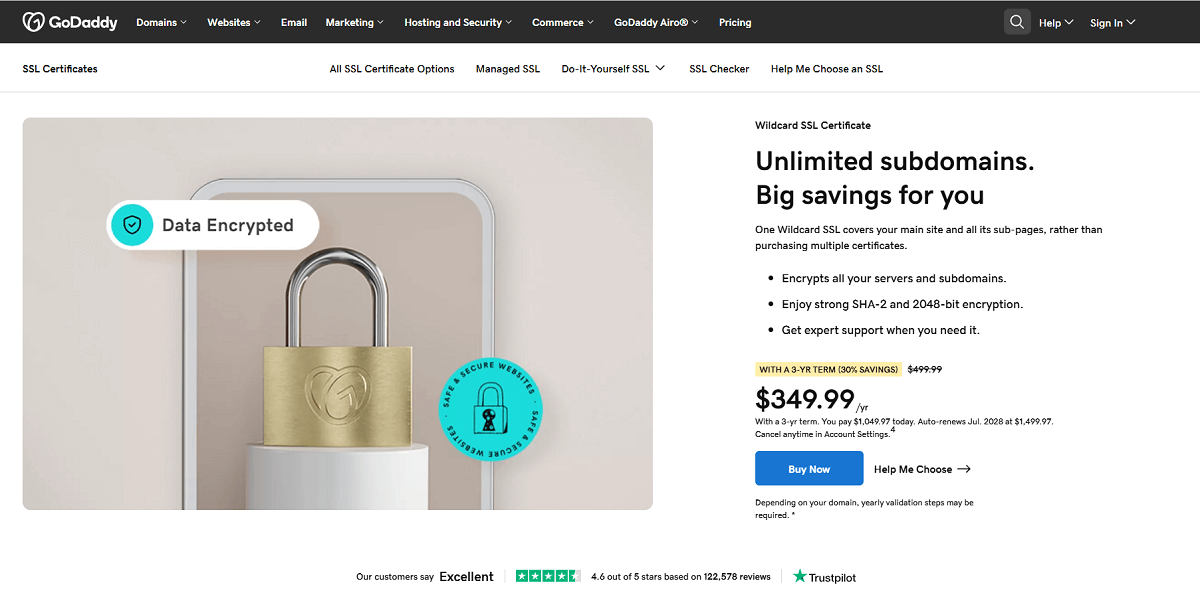 GoDaddy Wildcard SSL Certificate